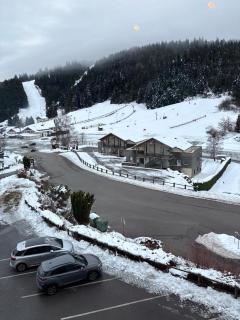Duplex Étoilé Tout Confort Aux Pieds Des Pistes - Gérardmer - 8