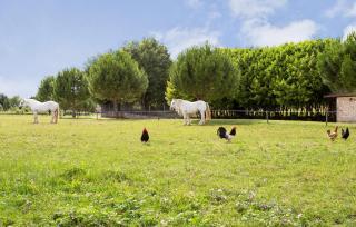 Cozy Home In Lonnes With Heated Swimming Pool - 3