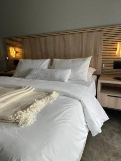 Fourteen38 Mews Guesthouse - 5