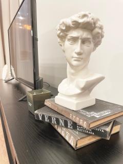 Atlas Apartment in the historical center of Košice with free private parking - 1