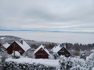 Chalet Bear - Thollon - 0