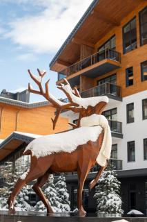 Apartel Skhidnytsya - 6