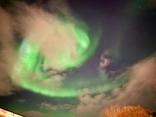 Cozy Studio, close to down town - 0