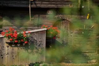 Apartments Organic Tourist Farm Gradišnik - 4