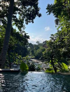 The Campuhan Retreat - 5