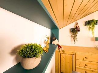 Begar Nest - ski slope front and panoramic - 5