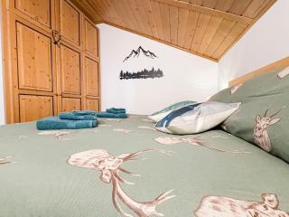 Begar Nest - ski slope front and panoramic - 3