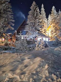 Villa Jasmin - Vlašić - Vlasic - 9