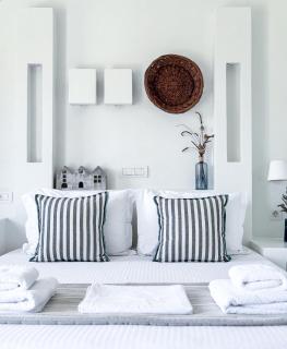 Villa Alisachni Andros - 7