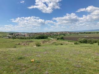 Brymonte Studio, Sunny Day 6 - 2