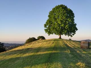 Ihre Wohlfühloase - 2