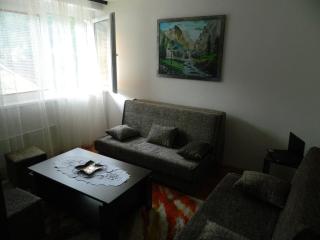 Apartman Sutjeska - Tjentište - 5