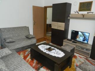 Apartman Sutjeska - 9
