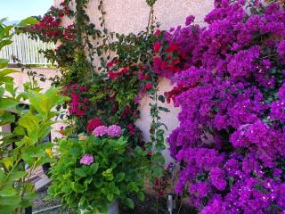 CAP CORSE VILLA VUE MER et MONTAGNE - 8