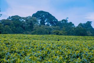 EAR KEN BARHAM GUESTHOUSE - 7