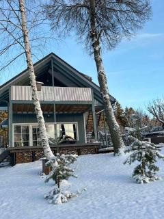 Namelis ant ežero kranto "Mėlynas namelis" - 9