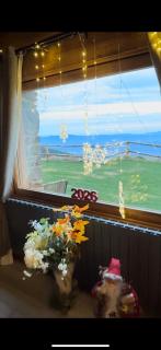 Roca negra Montseny - 9