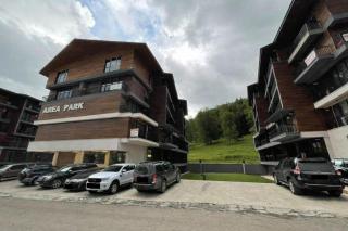 Area Park Bakuriani - 9