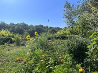Le Clos des Berges de l'Ain - 1