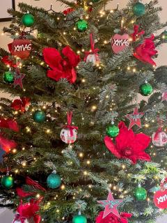 Brook Cottage - Kelling - 6