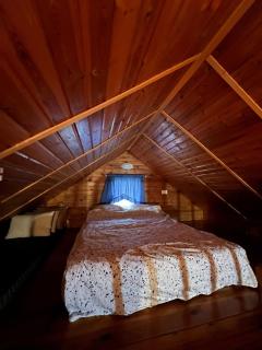 בקתת העץ של מירה ואמיר - 1