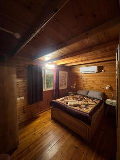 בקתת העץ של מירה ואמיר - 4