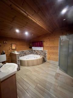 בקתת העץ של מירה ואמיר - 2