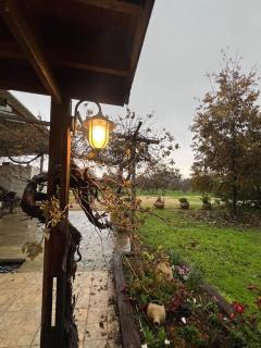 בקתת העץ של מירה ואמיר - 0