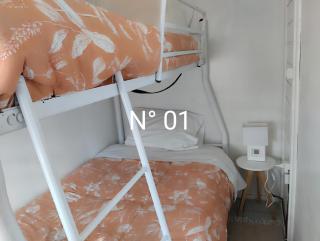 Alojamiento Javiera Carrera 01 - 3