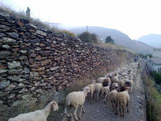 Casa de la Fuente - 2