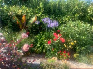 La Note Bleue - Chambres d'hôtes - 6