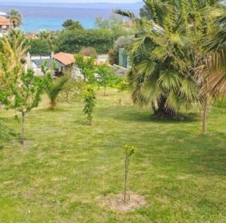 Villa Helga Deluxe - 1