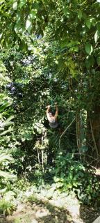 Mirador Jungle El Macuti - 2