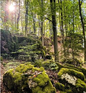 Haus Sommerseit'n Ruhe-Natur-Genuss - 1