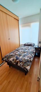 Villa near Amsterdam - 2