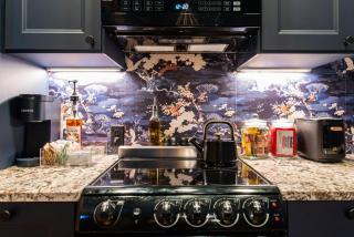 Hollyhock Suite 410 - 4