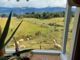 Cabaña Estuario del Yates - 7