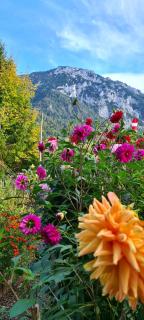 Ferienwohnung Diechtler inkl. Chiemgaukarte - 7