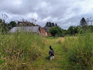 Ferienhaus 1870 Uckermark - 3