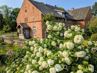 Ferienhaus 1870 Uckermark - 9