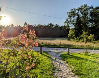 Ferienhaus 1870 Uckermark - 8