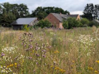 Ferienhaus 1870 Uckermark - 7