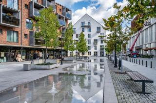 Modern cozy apartment with free parking in trendy Paupys - 7