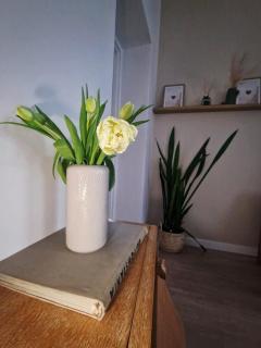 Szkoła pod Żurawiem - Dom Gościnny na Mazurach - 7