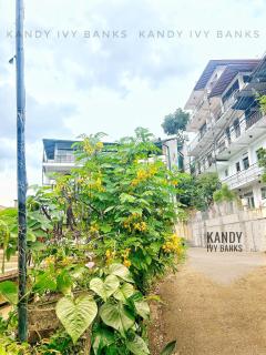 Kandy IVY Banks Lake View Resort - Kandy - 7