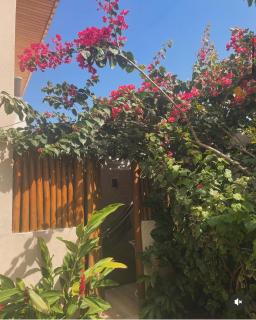 Itacimirim Paraiso - 3