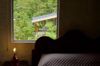 La Paila - Life Refuge - 8