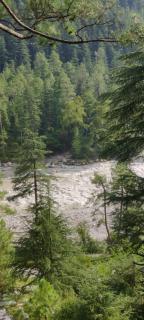 Stayhighcampskasol - 4