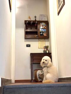 Residenza Le Logge - 7