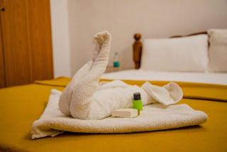 Le French White Villa - Pondicherry - 7